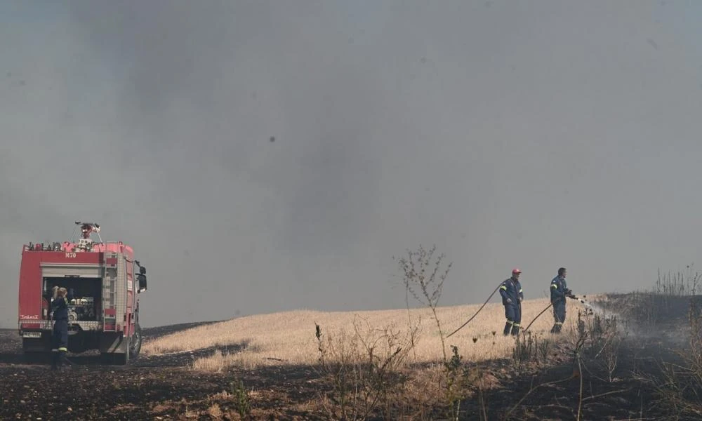 Δασική πυρκαγιά ξέσπασε στην Ξάνθη - Ήχησε το 112